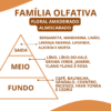 Essência Cacharel - Thumbnail Image 2