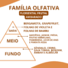 Essência Lindaa - Thumbnail Image 2