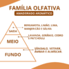 Essência Biografiia - Thumbnail Image 2