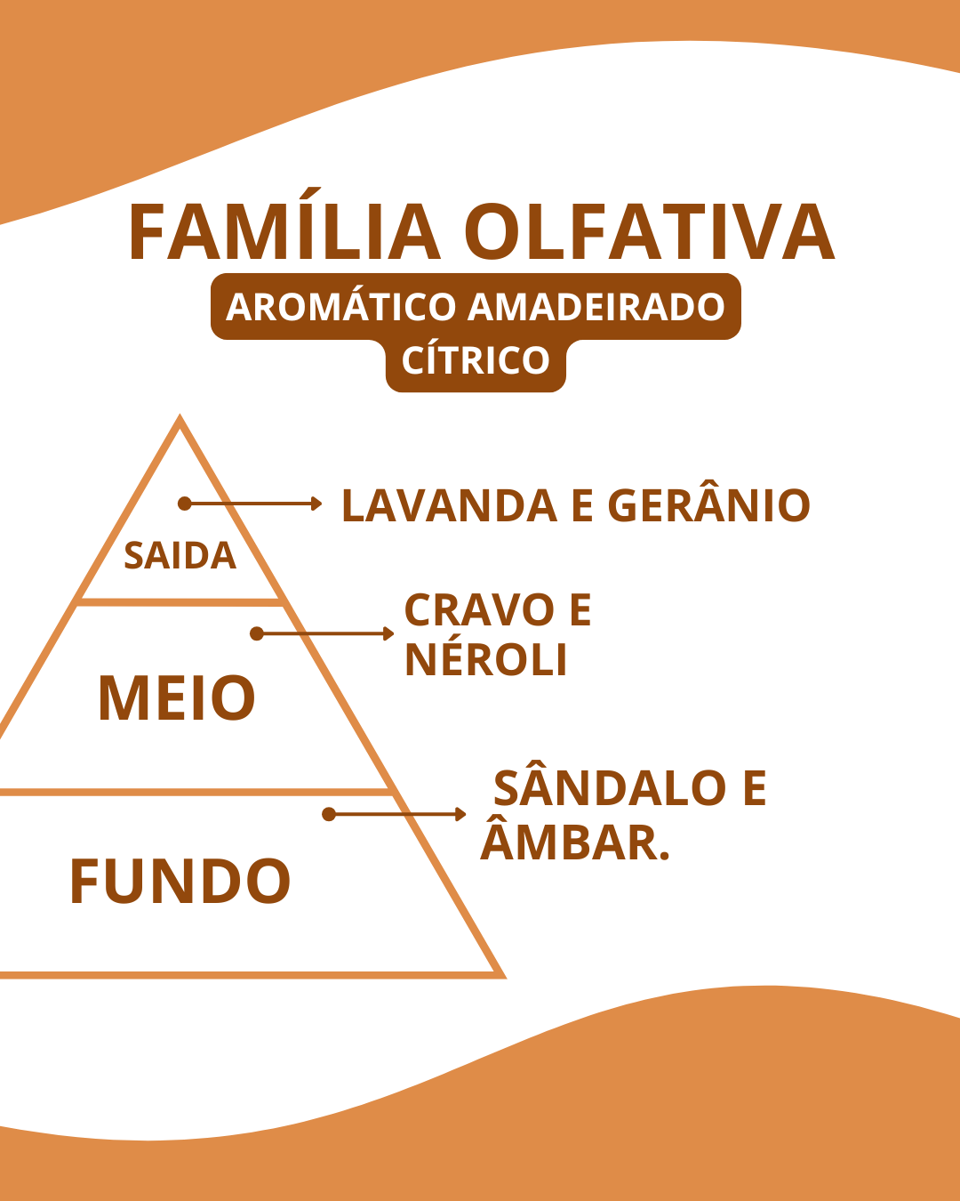 Essência Carolina Men - Imagem 2