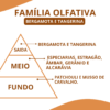 Essência Conexion - Thumbnail Image 2