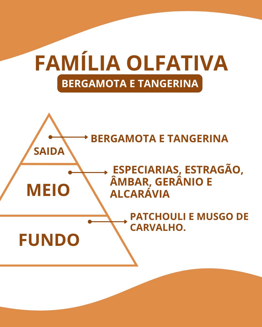 Essência Conexion - Imagem 2