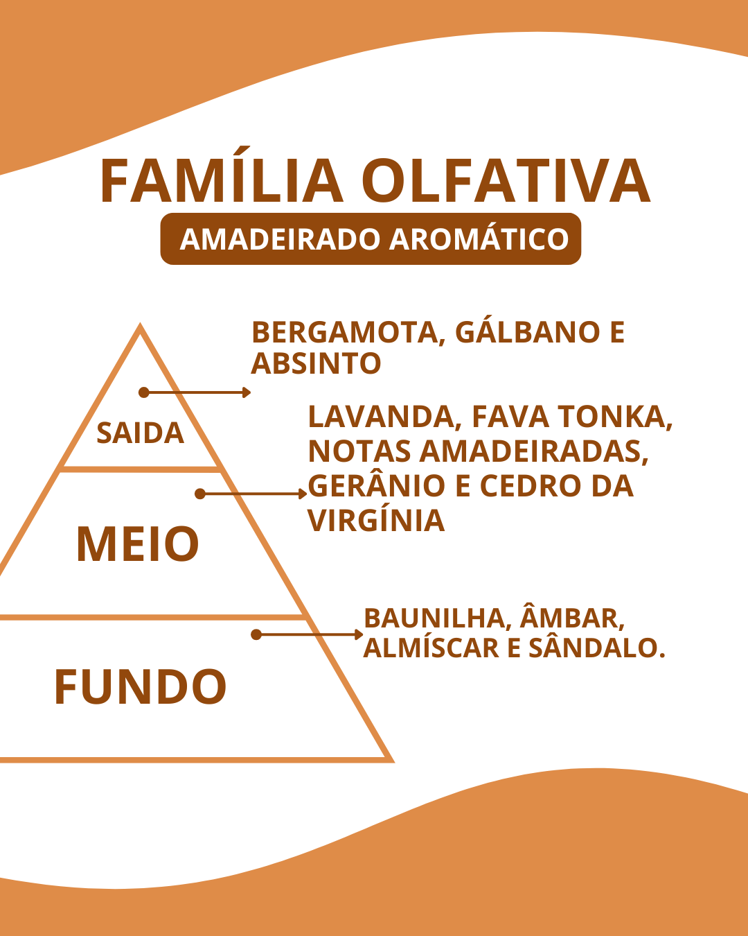 Essência Egeo man - Imagem 2