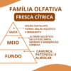 Essência polo B - Thumbnail Image 2