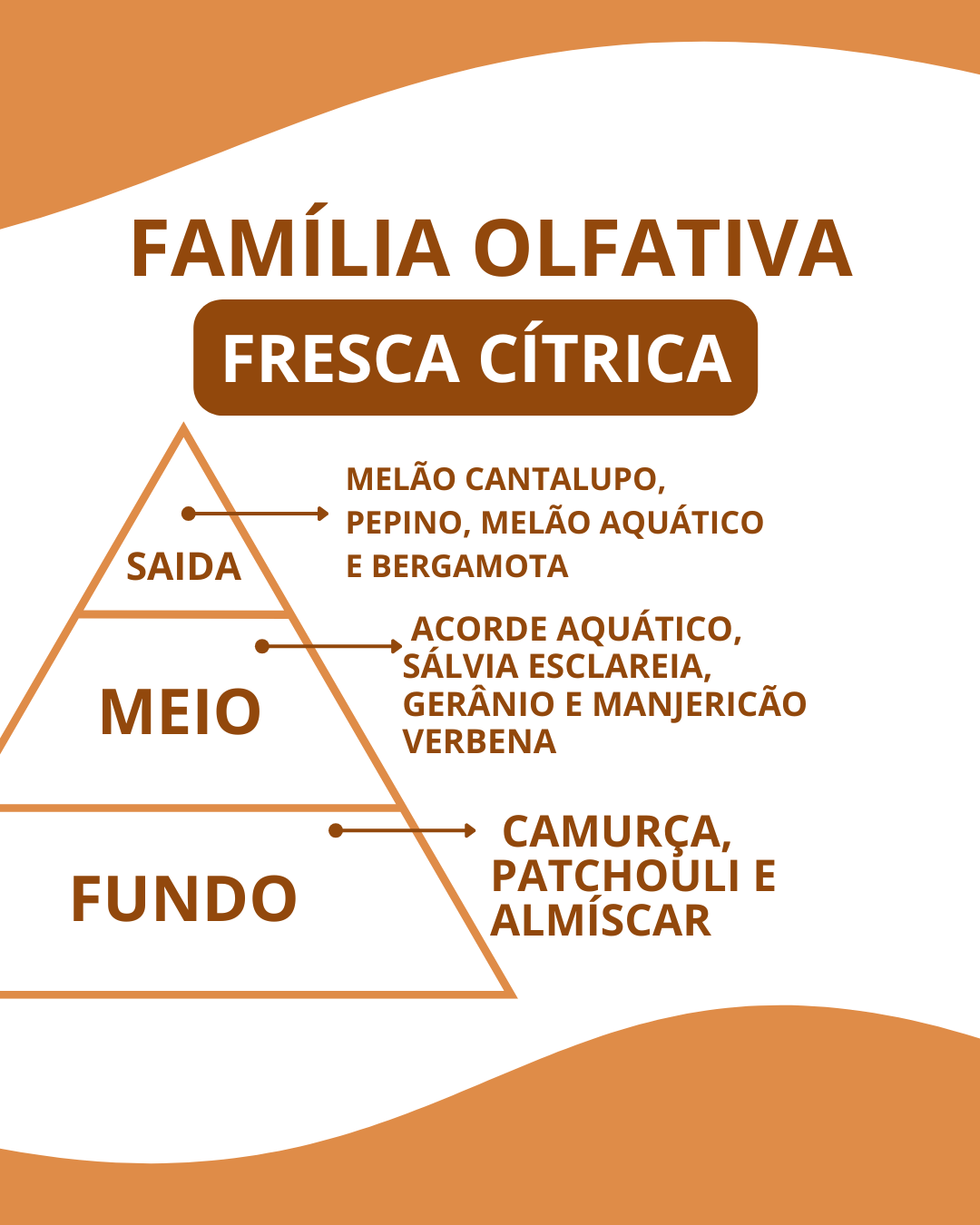 Essência polo B - Imagem 2