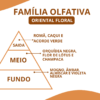 Essência Euporia - Thumbnail Image 2