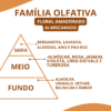 Essência M - Thumbnail Image 2