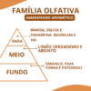 Essência Polo B - Thumbnail Image 2