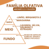 Essência Quasarr - Thumbnail Image 2