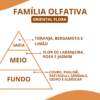 Essência Carolina H - Thumbnail Image 2