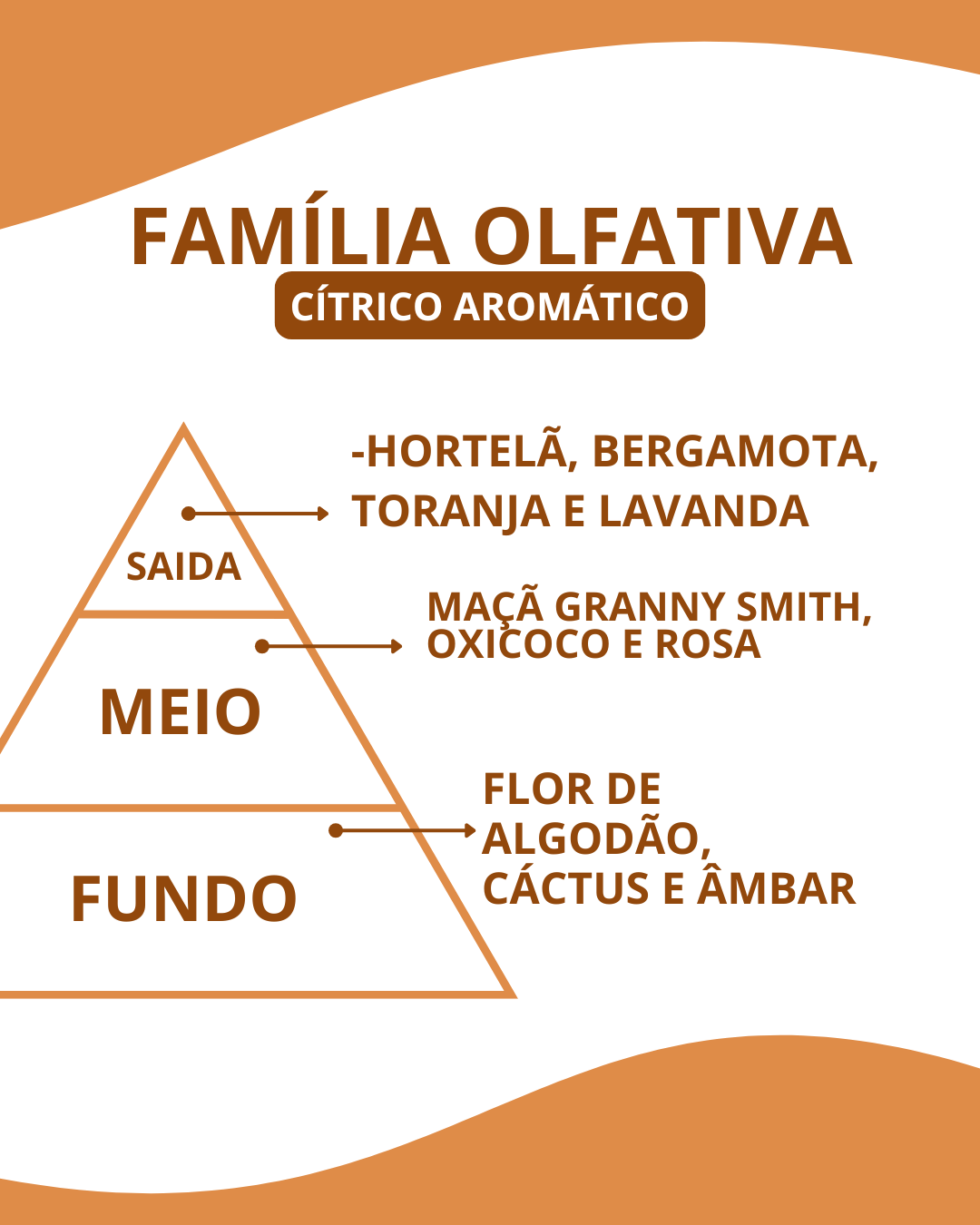 Essência Tomy Hilfger - Imagem 3