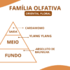 Essência Scandal I - Thumbnail Image 2