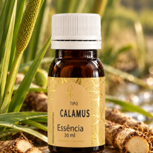 TIPO CALAMUS